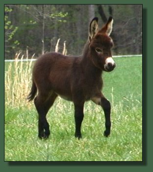 Click photo to enlarge image