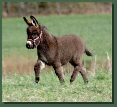 Click photo to enlarge image